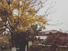 -大连金石滩绿发温泉假日酒店