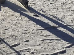 -北京西山滑雪场