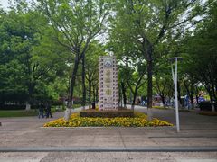 -青枫公园