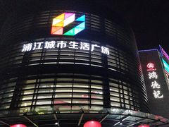 -浦江城市生活广场(江月路店)