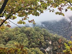 -五女峰国家森林公园