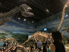 -自贡恐龙博物馆