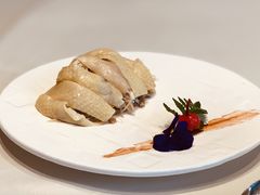 -蝶园·装修中(BFC外滩金融中心店)