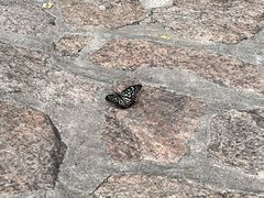 -云峰山自然风景区