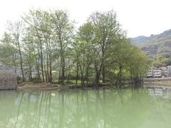 -泽雅景区