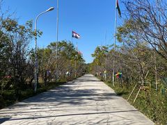 -第五季龙水凤港生态露营农场