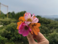 -竹泉村旅游度假区