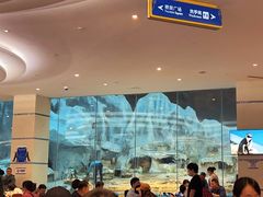 -帝企鹅自助餐厅•儿童岛•真企鹅(长隆企鹅酒店)