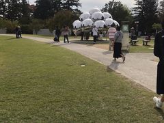 -金泽21世纪美术馆