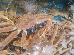 -本达人海鲜烧烤·朝鲜族风味(发展店)