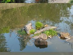 -上海野生动物园