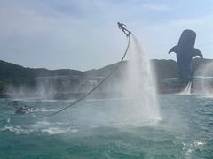 -珠海长隆海洋王国