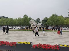 -秦皇岛野生动物园