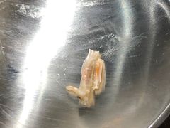 -海盗虾饭·剥好的小龙虾饭(上地辉煌店)