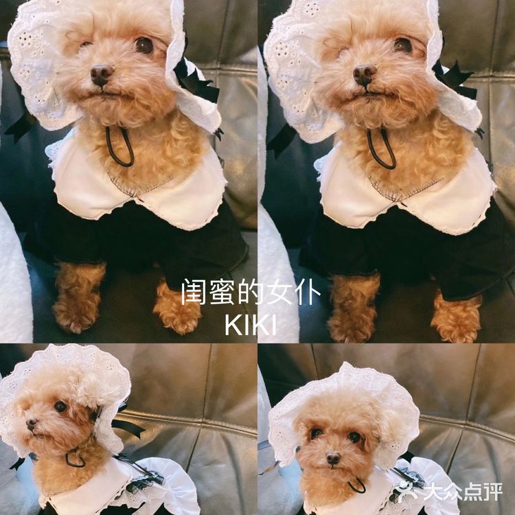 一家有温度的宠物医院🐈欣宠宠物🦮