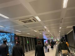 -米兰马尔彭萨国际机场