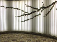 景观位-339旋转餐厅(天府熊猫塔店)