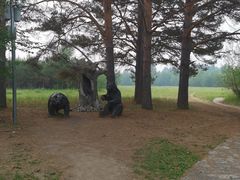 -北极村旅游风景区