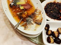 清蒸鲥鱼-顺风海鲜港(金玉兰店)