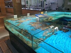 -宝燕海鲜(好爱店)