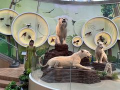 -陕西自然博物馆