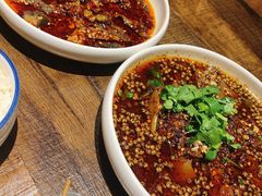 -铁公鸡·四川料理(天环广场店)