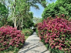 -东湖听涛景区