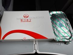 -重庆江北国际机场-T2航站楼