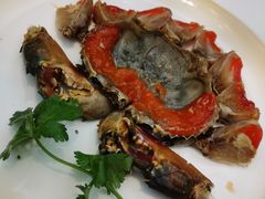 -吴记富苑(朝阳店)