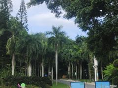 -深圳仙湖植物园