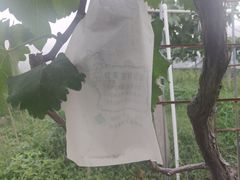 -美家乐农庄·露营·团建(大治路店)