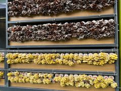 -中国天府农业博览园