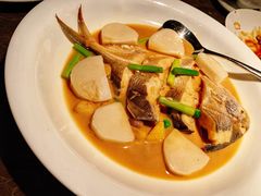 家烧鲳鱼-新荣记(BFC外滩金融中心店)