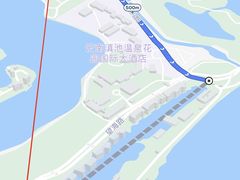观赏结束从正侧门出去-云南民族村