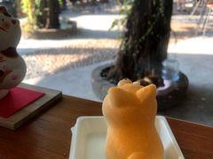 -柴犬高等学院·狗咖·柴犬售卖·宠物训练