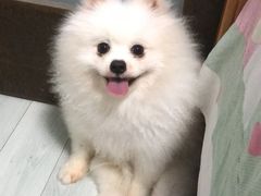 -阿荣24H宠物医院·综合型转诊中心·CT·核磁影像中心