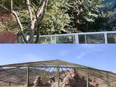 -新疆天山野生动物园