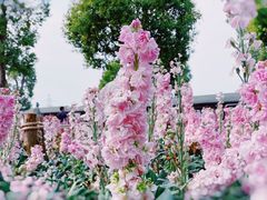 -仙岳公园