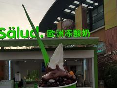 冻酸奶-Salud撒露欧洲冻酸奶(蓝色港湾店)