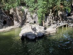 -燕塞湖鸟语林景区