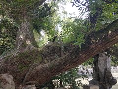 -汇龙潭
