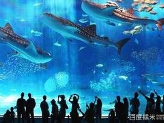 -福州罗源湾海洋世界旅游区