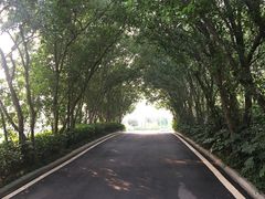 -南京东郊国宾馆