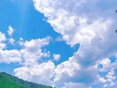-秦岭风景区