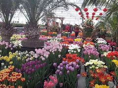 iphone_upload_pic-北京植物园-展览温室