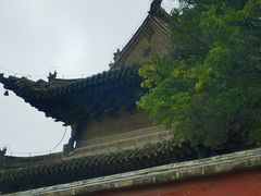 -瞿昙寺