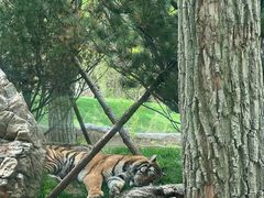 -北京野生动物园