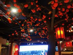 -鸽子窝(青塔店)