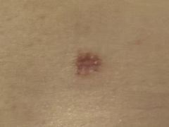 -上海中医药大学附属曙光医院(东部)