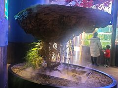 -1718海鲜姿造(苏宁宴请臻选店)